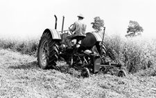 farming-herda-coll-2-(002).jpg