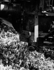 cultivato-bracket.jpg