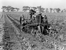 1927-cultivating-corn-massey-harris-tractor-(2)-(002).jpg