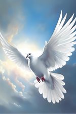 Dove.jpg