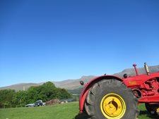 IMG_1159.jpg