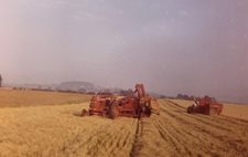 Harvest-1961-New-Nuffield-Universal-4-and-I-H-B64-Combines-(2).jpg