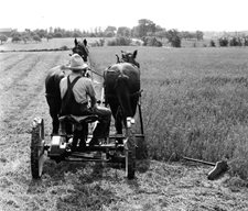 mower.jpg